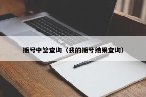 摇号中签查询（我的摇号结果查询）
